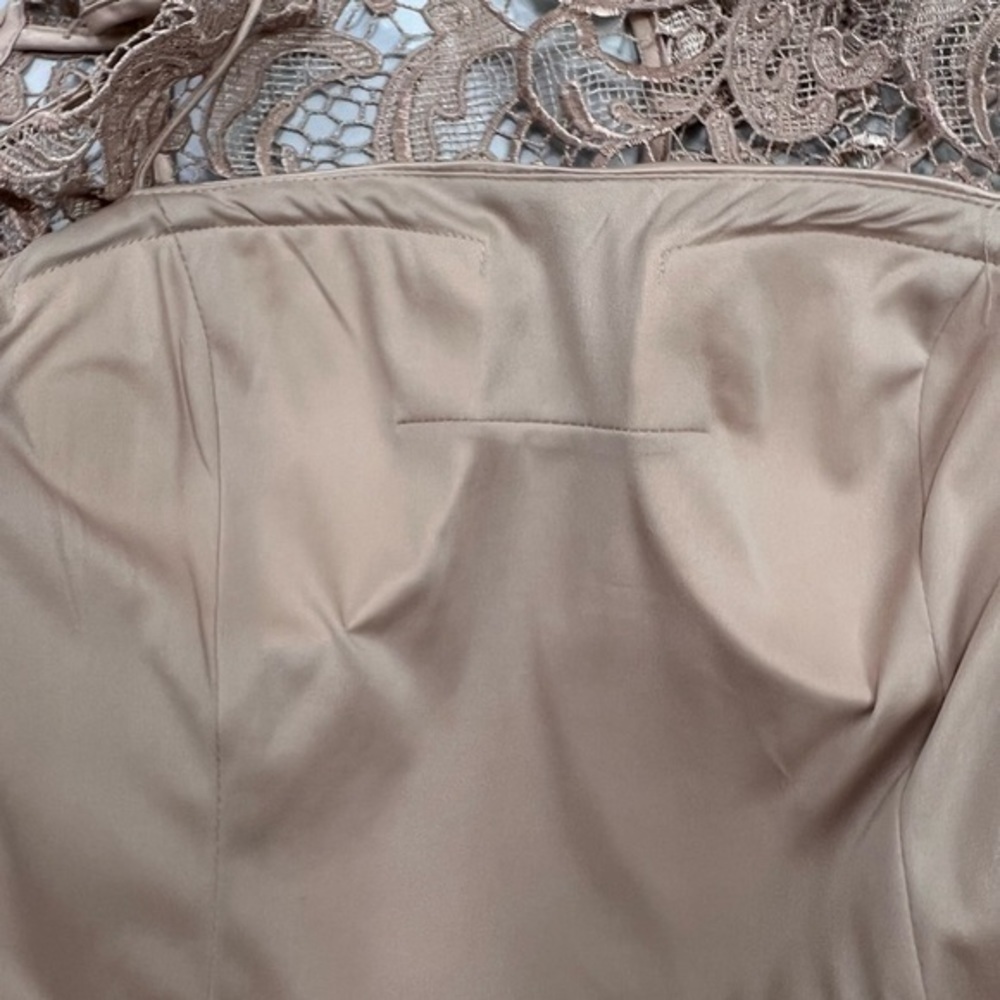 NWOT Adrianna Papell Lace Illusion Dress - Picture 7 of 8